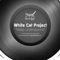 White Cat Project资料,White Cat Project最新歌曲,White Cat ProjectMV视频,White Cat Project音乐专辑,White Cat Project好听的歌