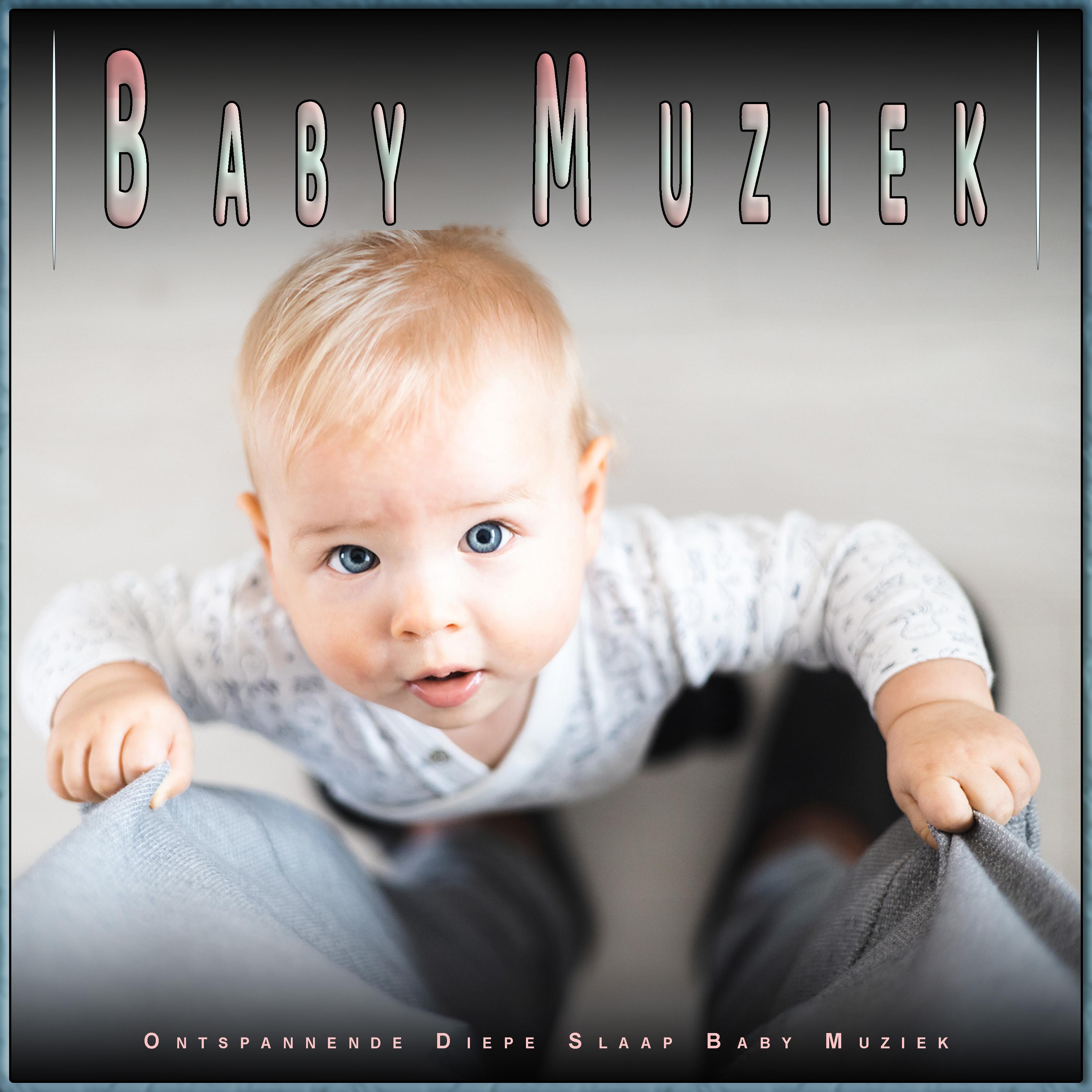 Lieve Baby Knuffel Muziek