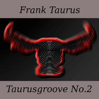 Taurusgroove No.2