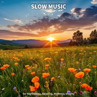 #01 Slow Music for Night Sleep, Relaxing, Wellness, Vitality