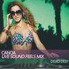 Disko Deep - Canoa (Live Sound Feels Mix)