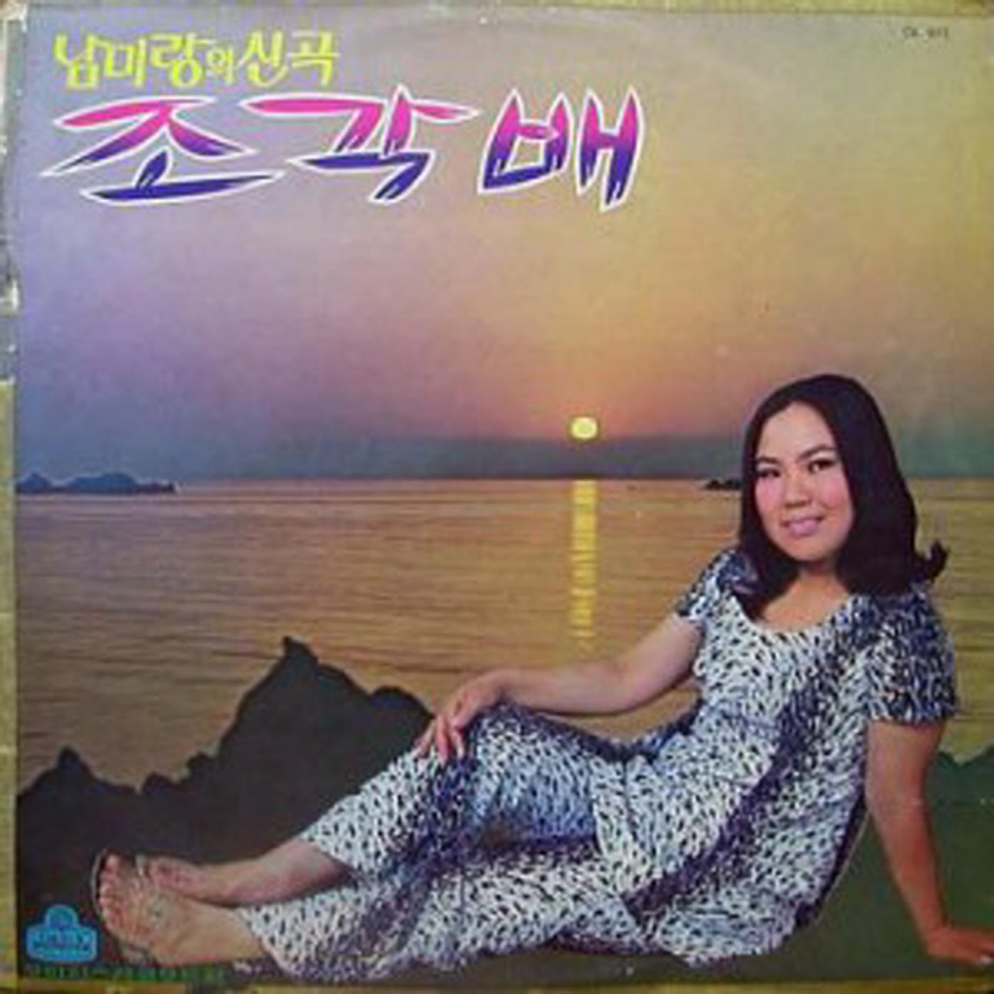 빗속의 눈물封面