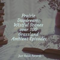 Prairie Daydream: Wistful Scenes over 100 Grassland Ambient Episodes