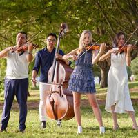 Dallas String Quartet资料,Dallas String Quartet最新歌曲,Dallas String QuartetMV视频,Dallas String Quartet音乐专辑,Dallas String Quartet好听的歌