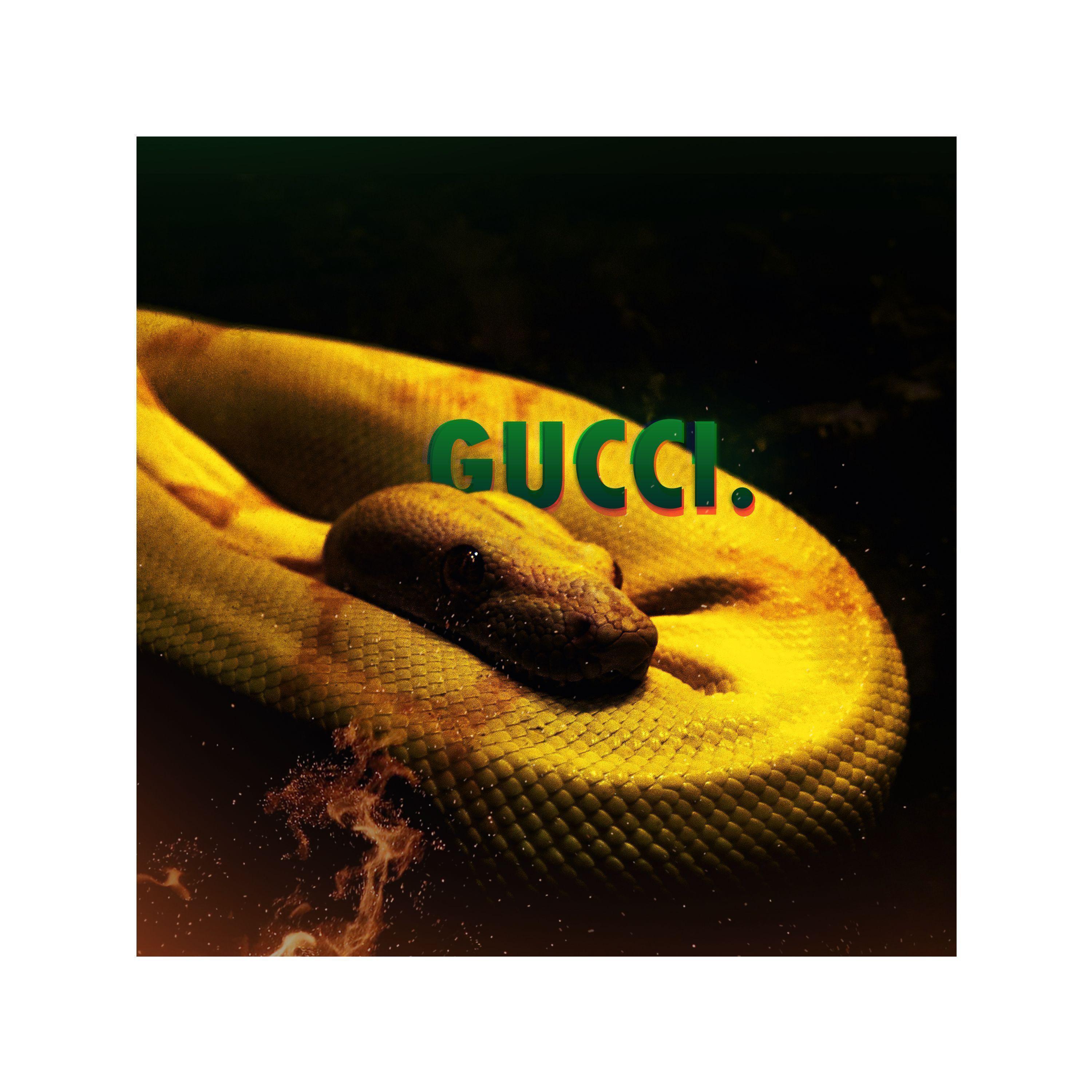 GUCCI.