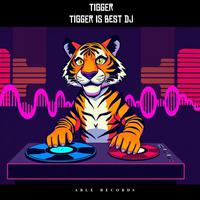 Tigger is Best DJ