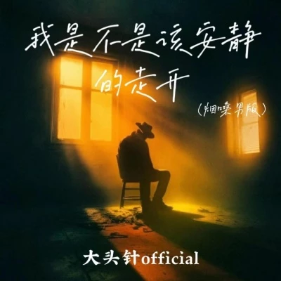 我是不是该安静的走开 (烟嗓男版)封面