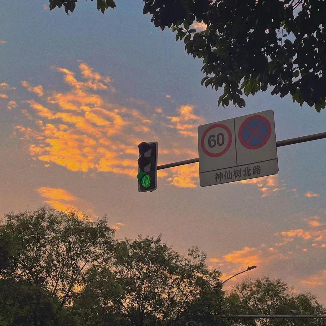 Once Fell but Failed in Love.