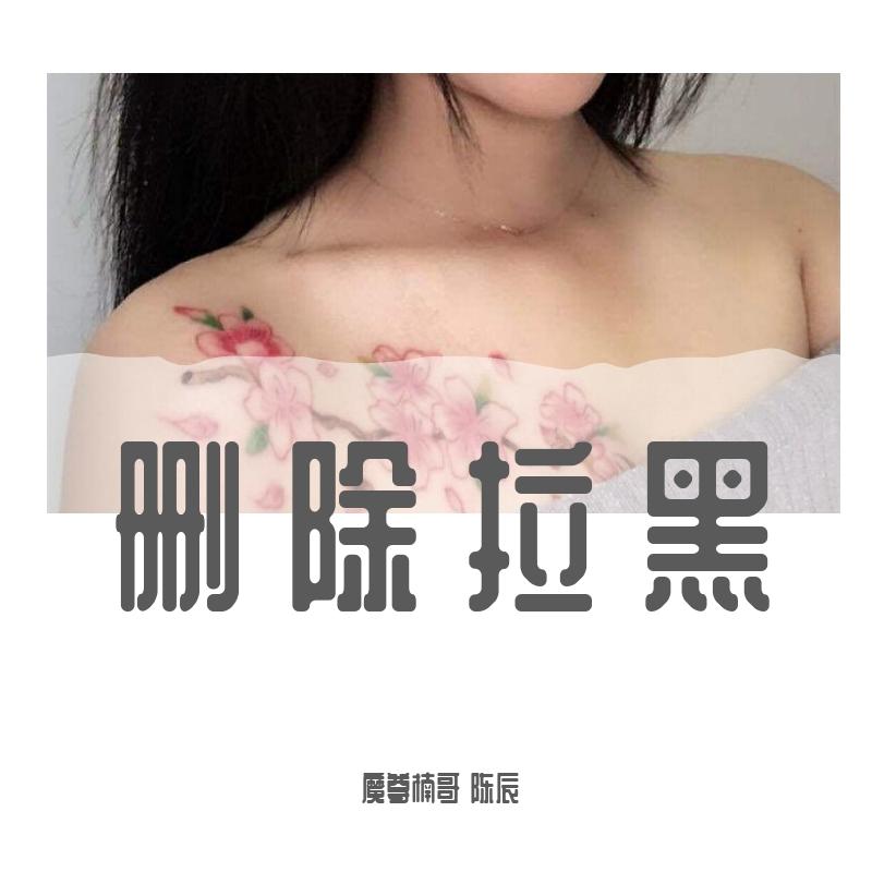 删除拉黑 - 魔尊楠哥、陈辰封面