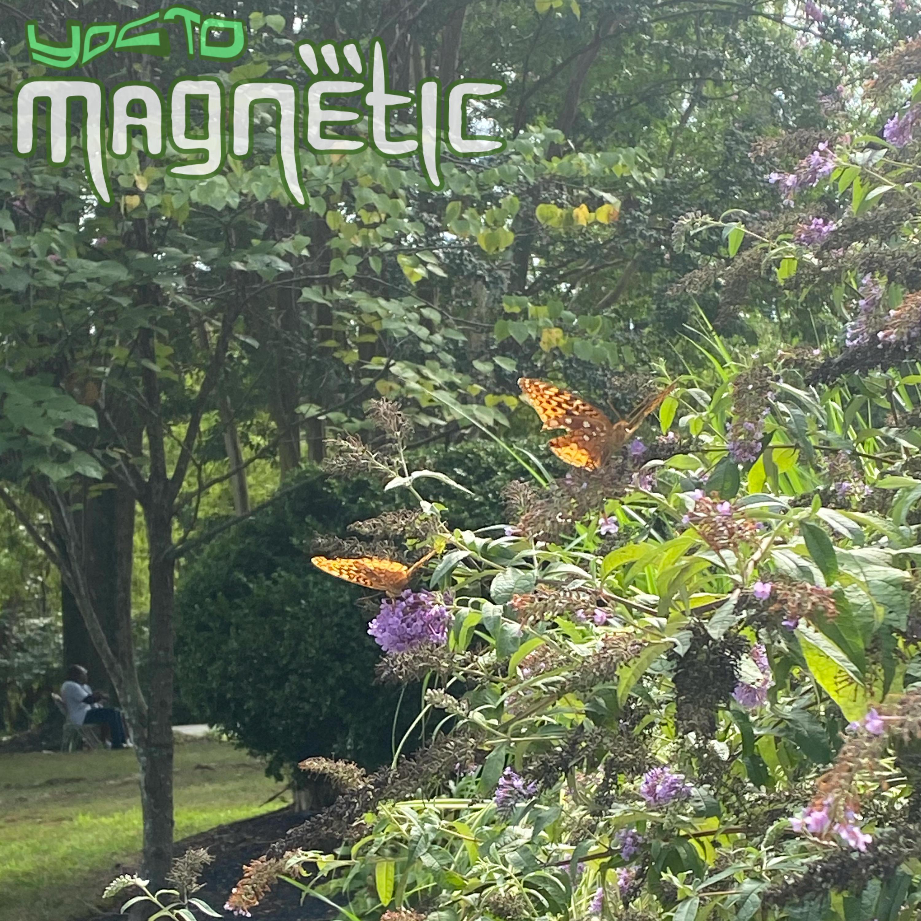 heartz4u (feat. Tammy Lucas)