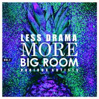 Less Drama More Big Room, Vol. 2