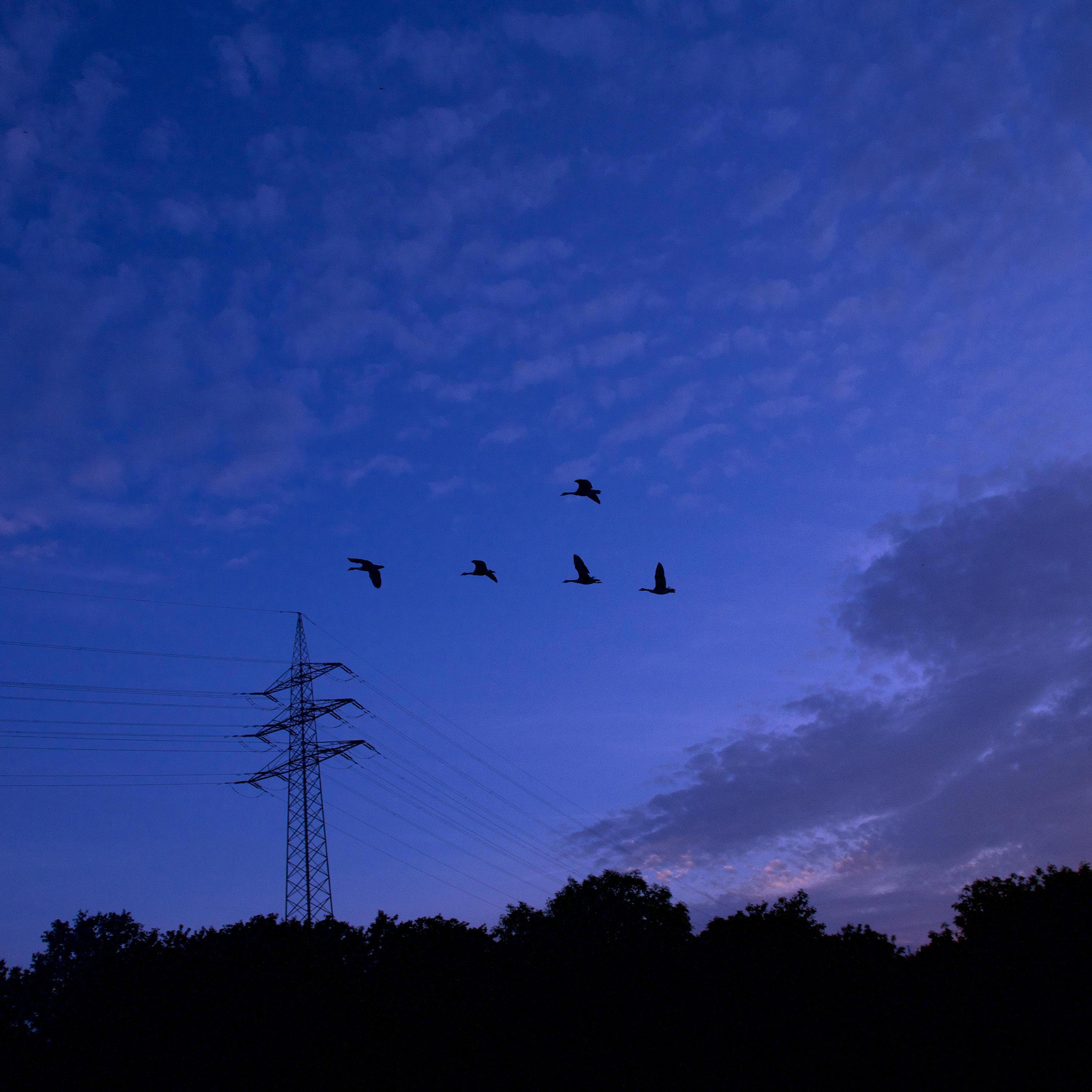 Emotional Jungle (Deep in my Feelings)