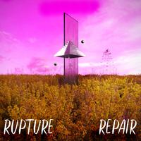 Rupture / /Repair