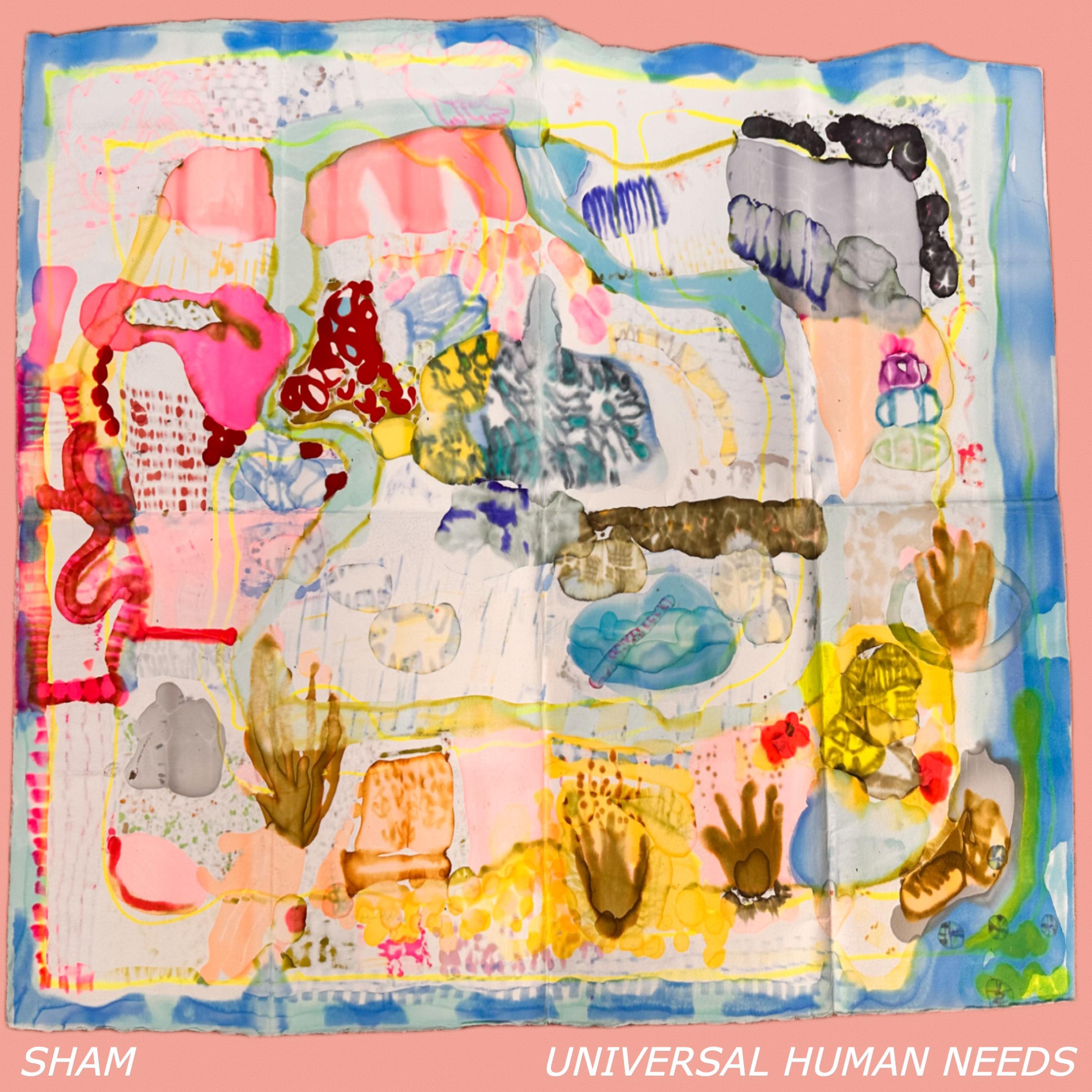 Universal Human Needs