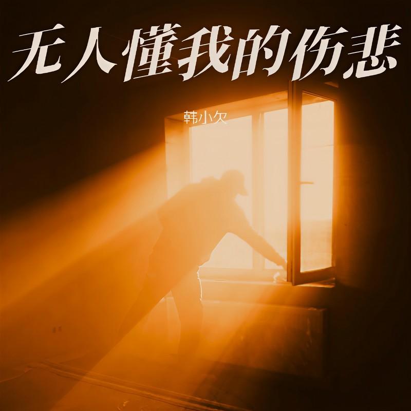 无人懂我的伤悲 - 韩小欠封面