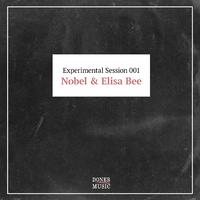 Experimental Session 001