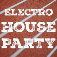 Electro House Party, Vol. 3