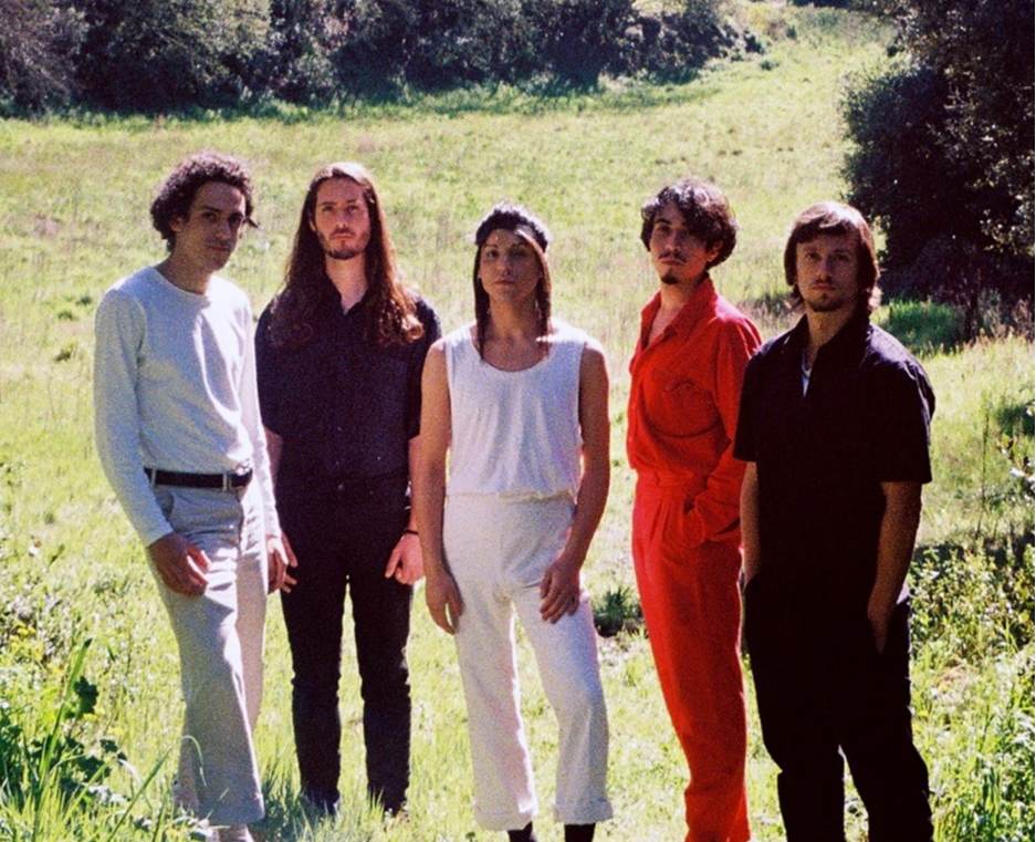The Zephyr Bones