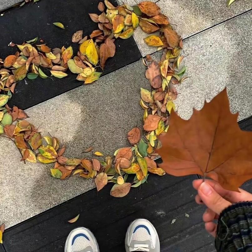 草戒指封面