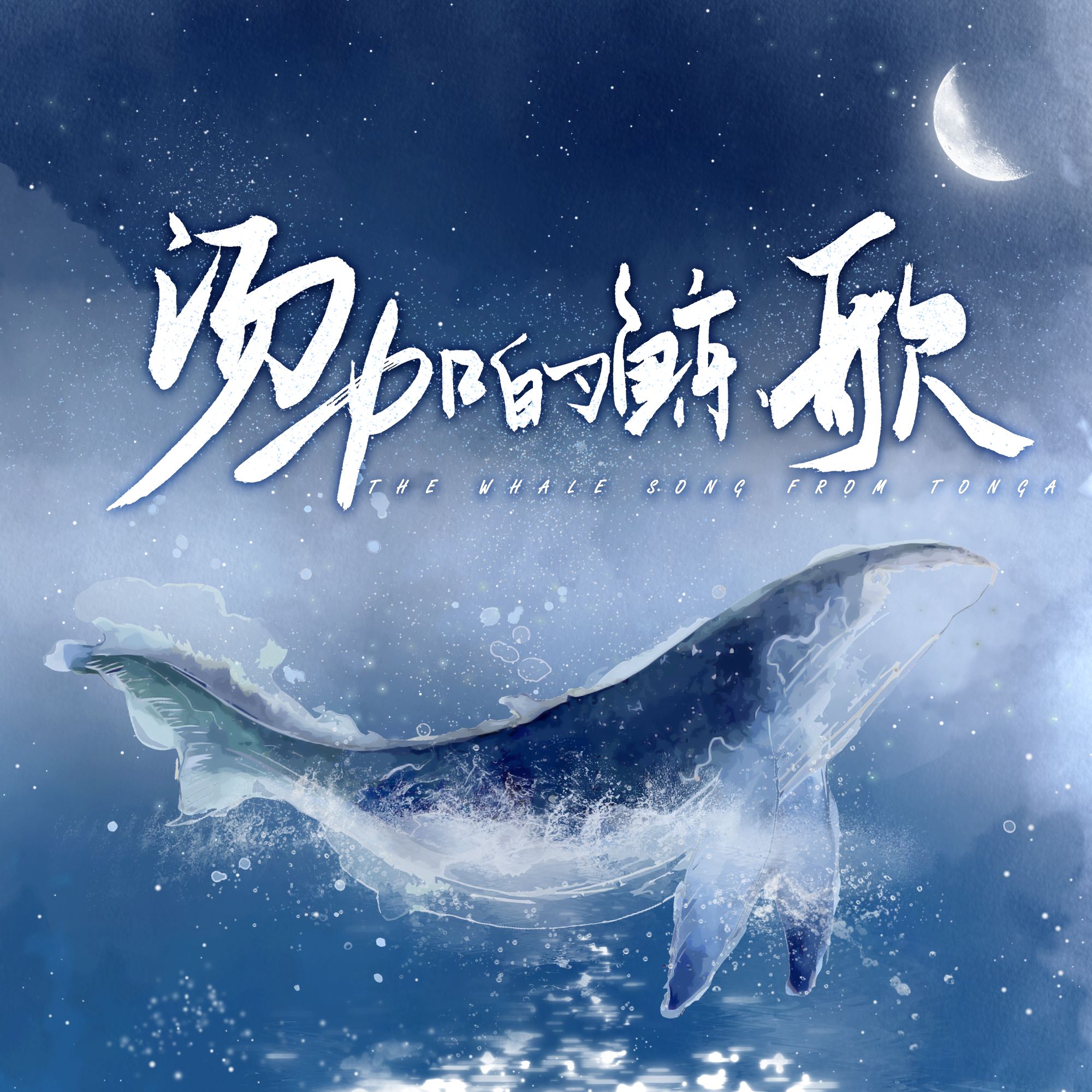 汤加的鲸歌封面