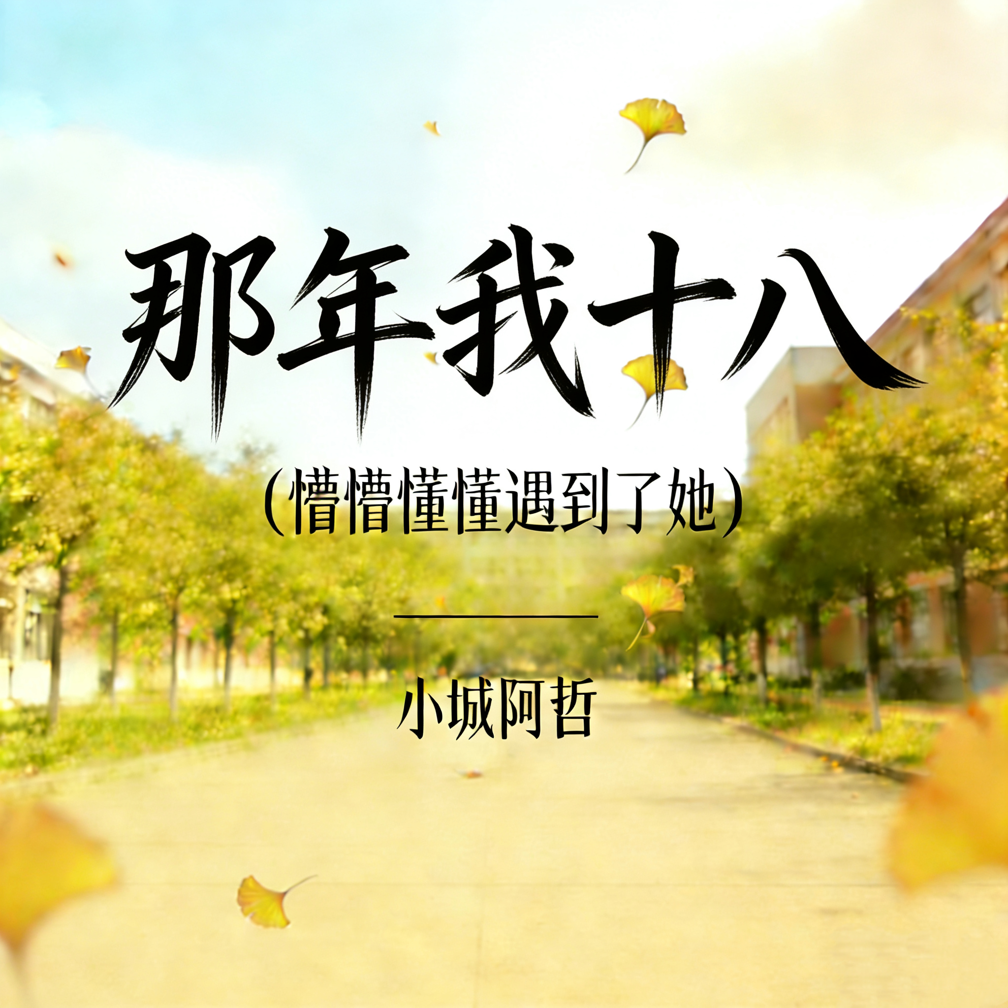 那年我十八（懵懵懂懂遇到了她）封面