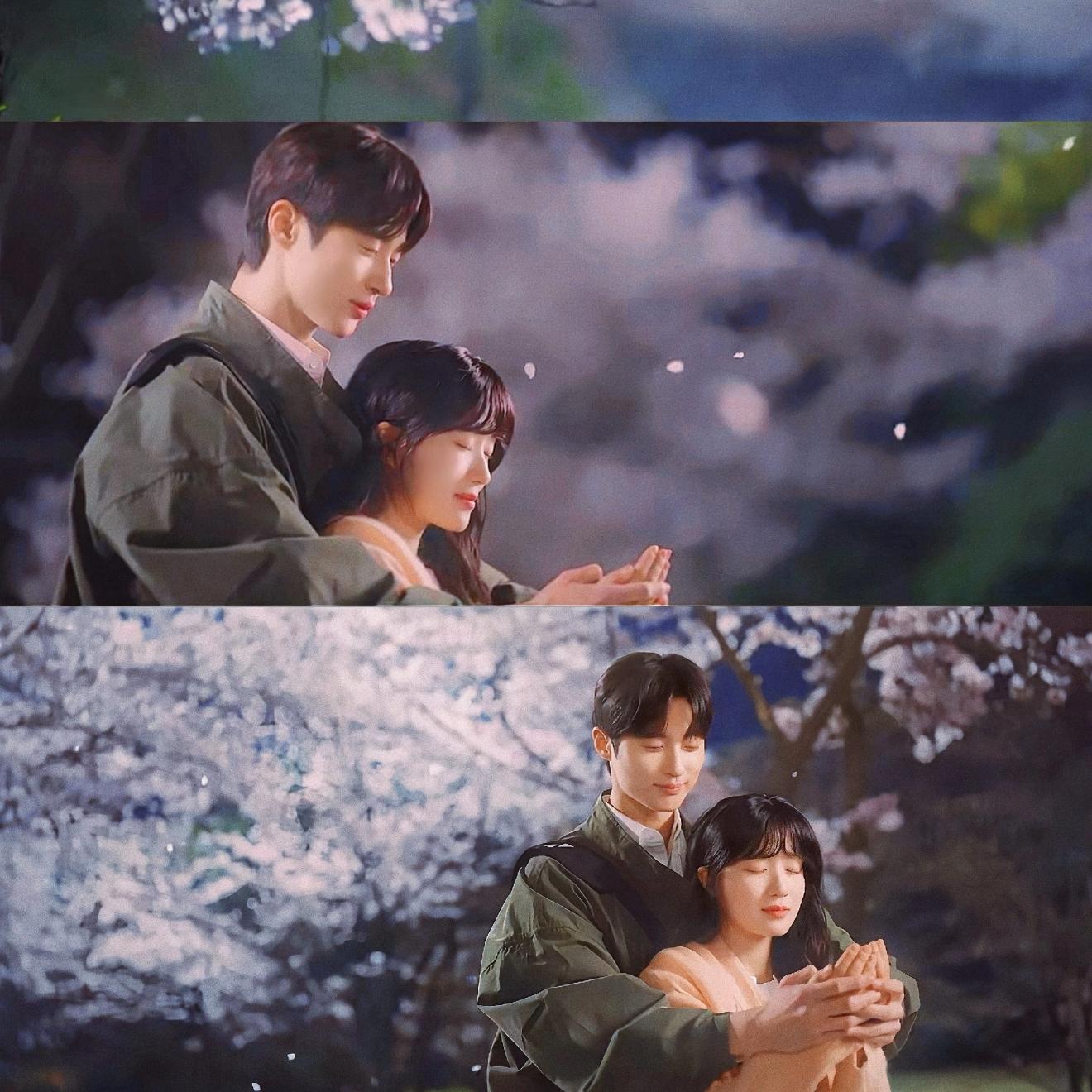 阵雨封面