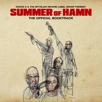 Summer Of Hamn: The Official Booktrack