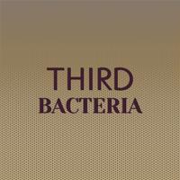 Third Bacteria