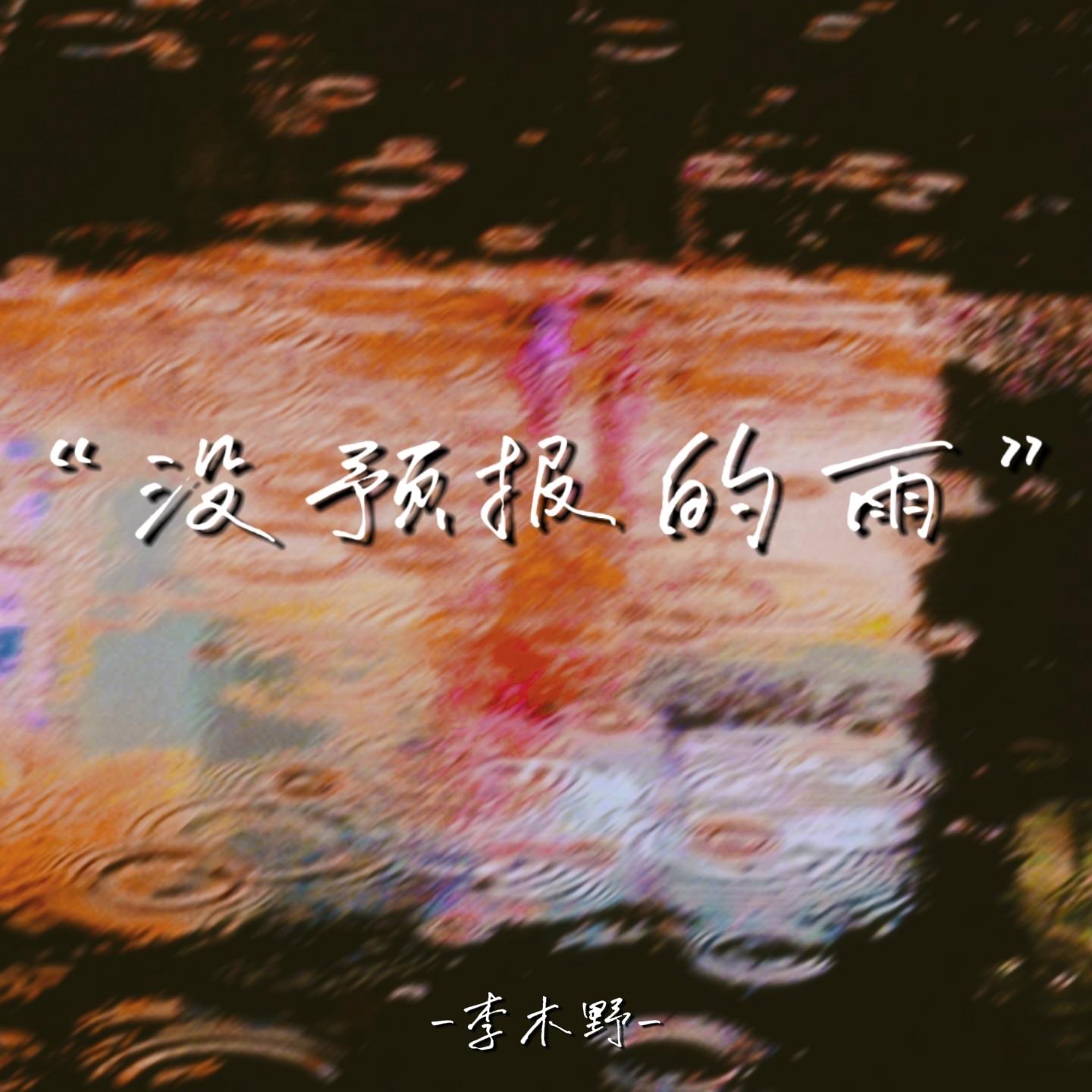 没预报的雨封面
