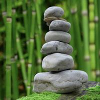 Morning Meditation