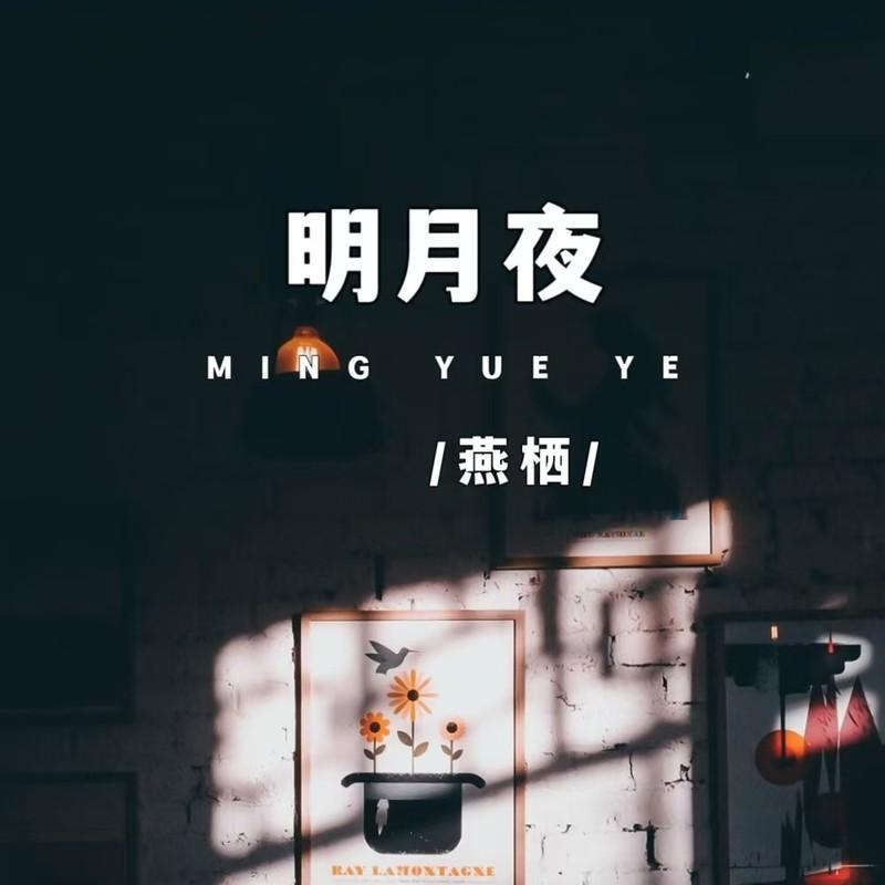 明月夜 (伴奏)封面