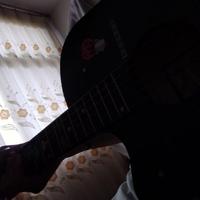 忘花资料,忘花最新歌曲,忘花MV视频,忘花音乐专辑,忘花好听的歌