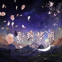 直到黎明（《诟病》广播剧主题曲）