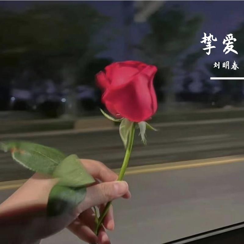 英雄无泪封面