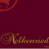 Nelkenried资料,Nelkenried最新歌曲,NelkenriedMV视频,Nelkenried音乐专辑,Nelkenried好听的歌