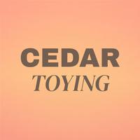 Cedar Toying