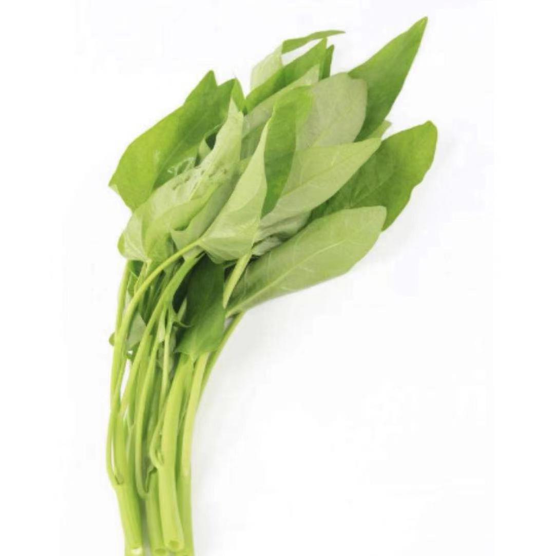 空心菜(prod.Bubbleboy)