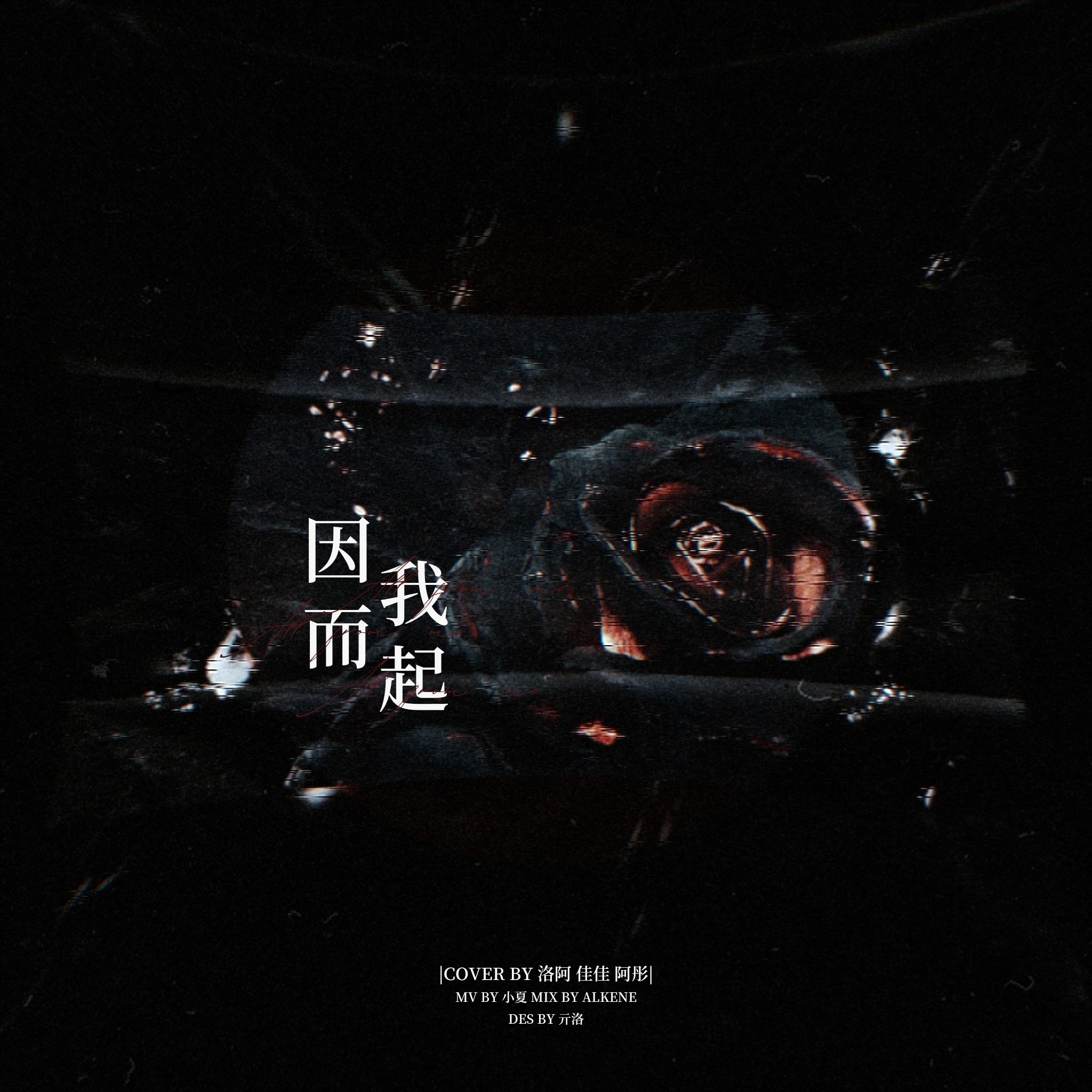 因我而起（翻自丁程鑫/刘耀文/张真源）封面