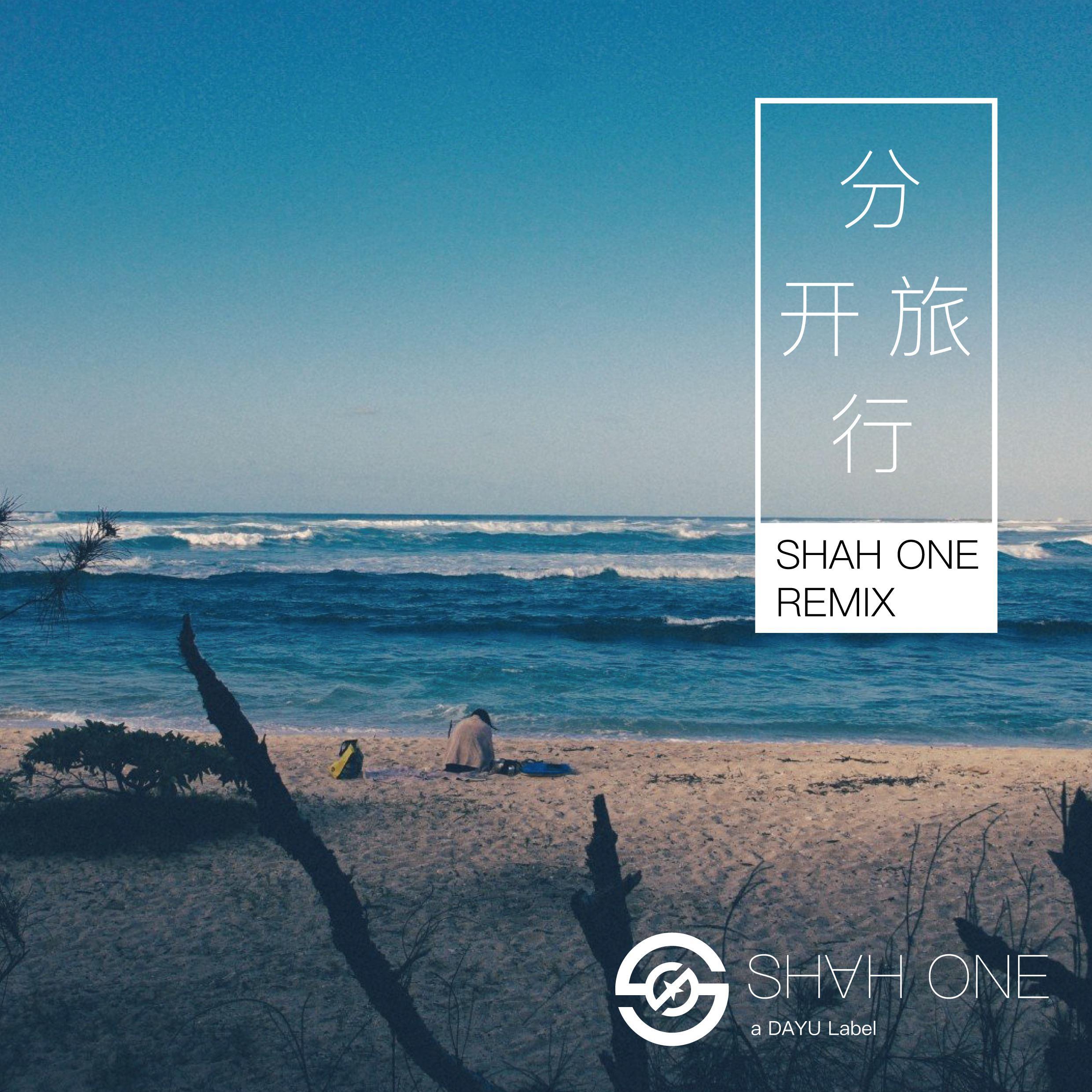 刘若英-分开旅行（SHAH ONE remix）封面