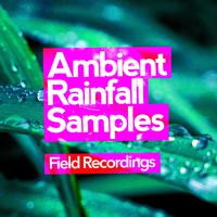 Ambient Rainfall Samples