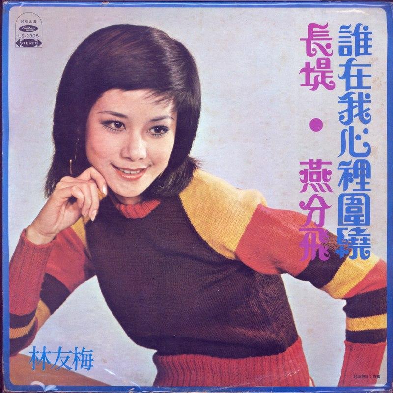 燕分飞封面