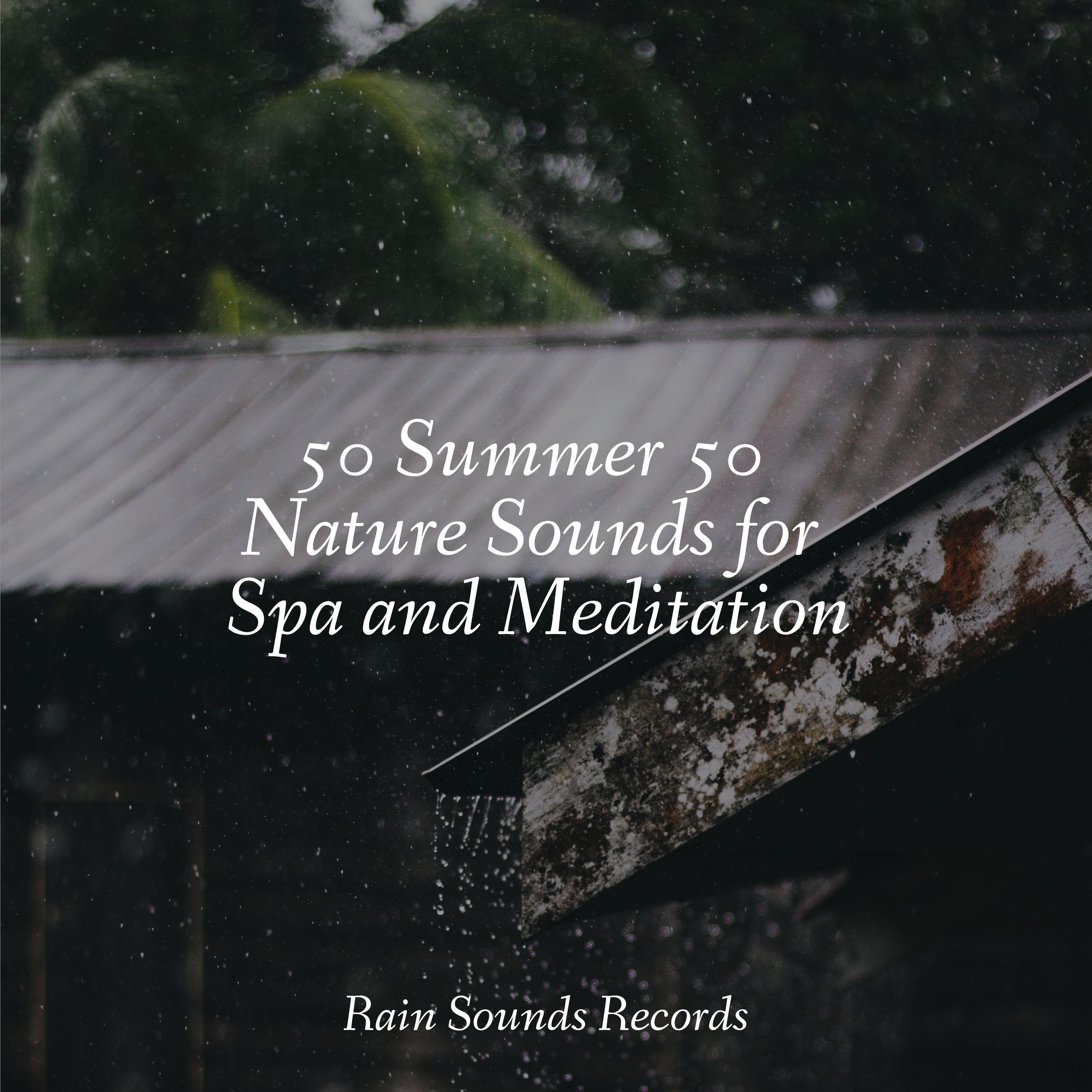 50 Summer 50 Nature Sounds for Spa and Meditation - Yoga Sounds - 专辑 ...