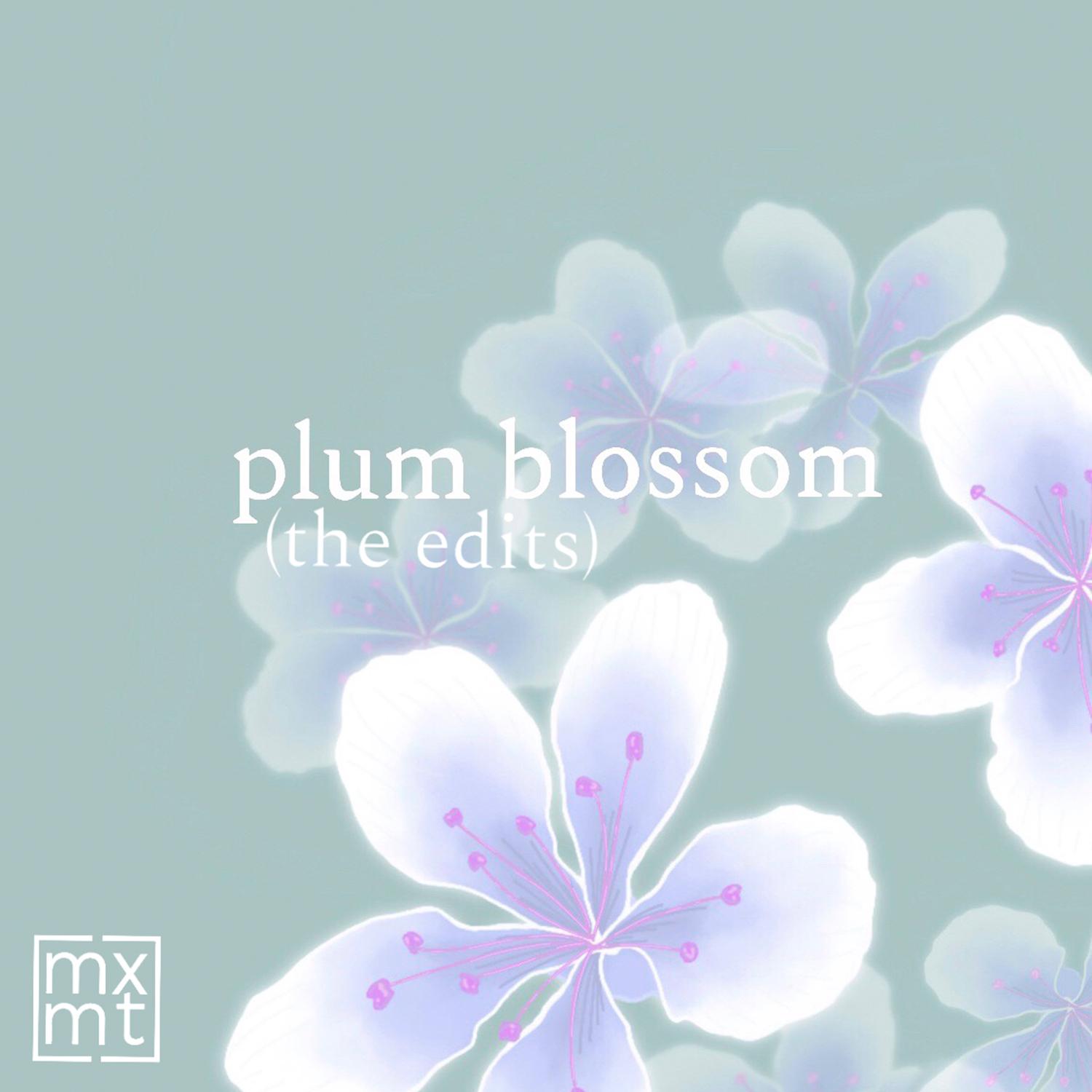 i feel like chet (khai dreams edit)_mxmtoon_plum blossom (the edits) | 在线播放_i feel like chet (khai dreams edit)歌词_i feel like chet (khai dreams edit)下载 | 网易云音乐