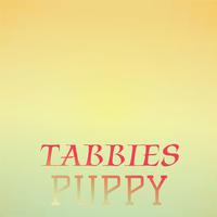 Tabbies Puppy