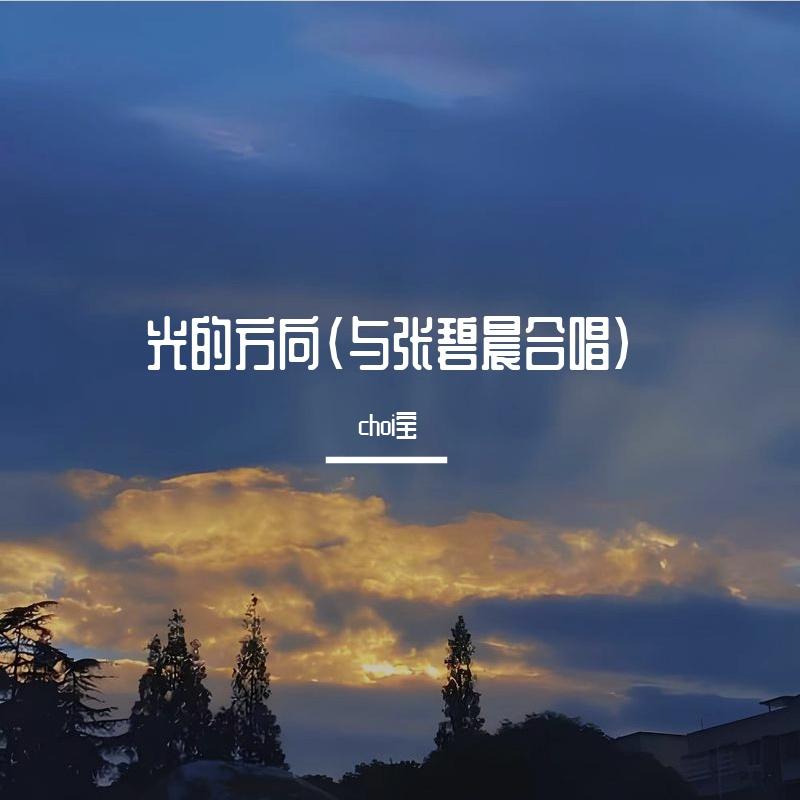 光的方向(与张碧晨合唱)封面