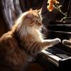 Cat Music - Elegant Piano Feline Waltz