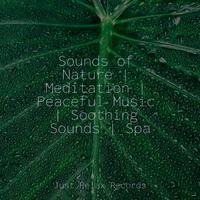 Sounds of Nature | Meditation | Peaceful Music | Soothing Sounds | Spa