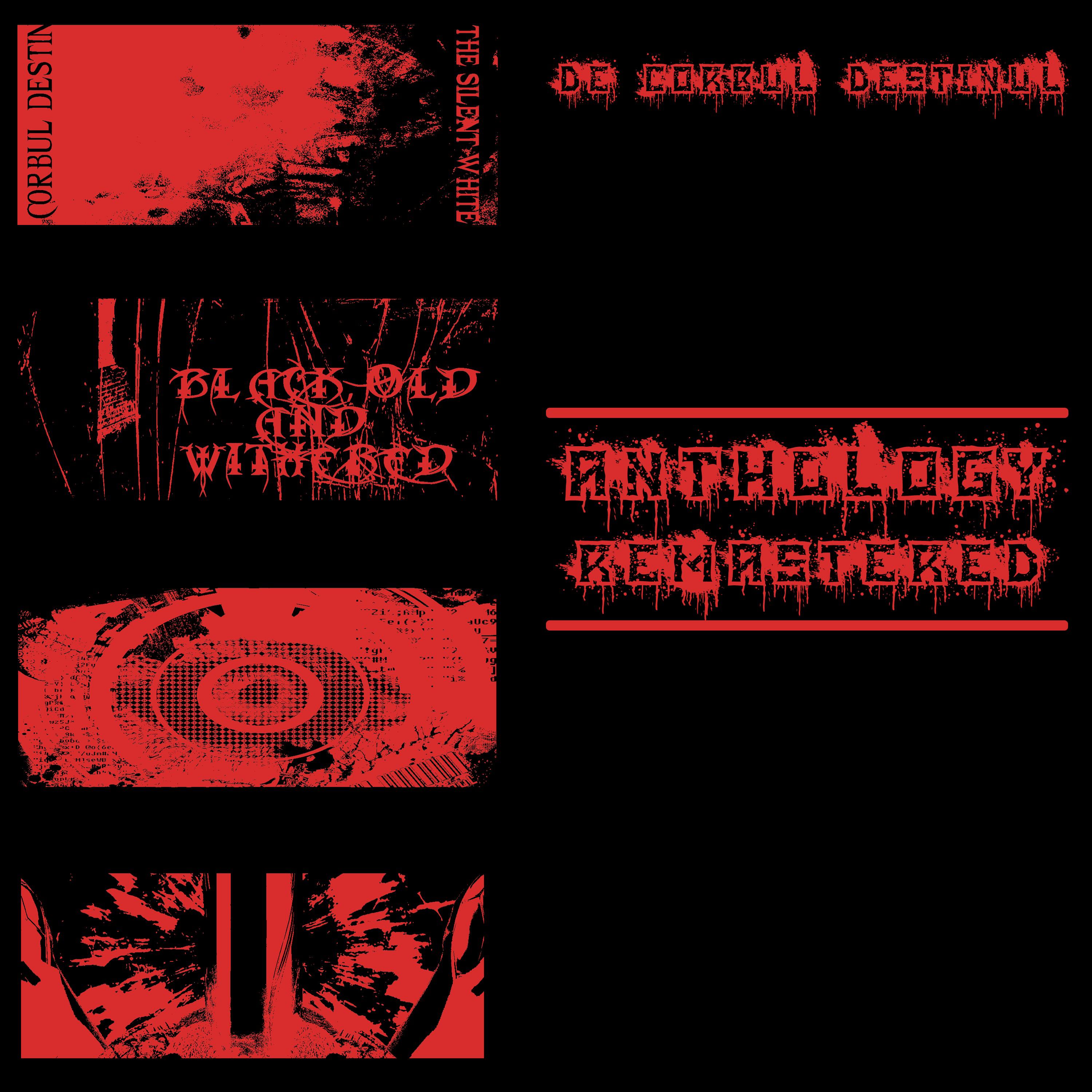 Daisy's Destruction (2023 Remastered Version) - De Corbul Destinul - 单曲