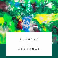 Plantae