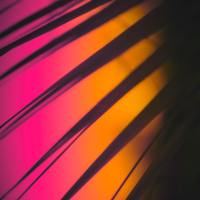 Love Story Remix (I Love You) [TikTok Dance]